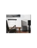 Denon Home Subwoofer