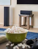 Polk Audio T50 Álló hangsugárzó pár