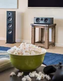 Polk Audio T50 Álló hangsugárzó pár
