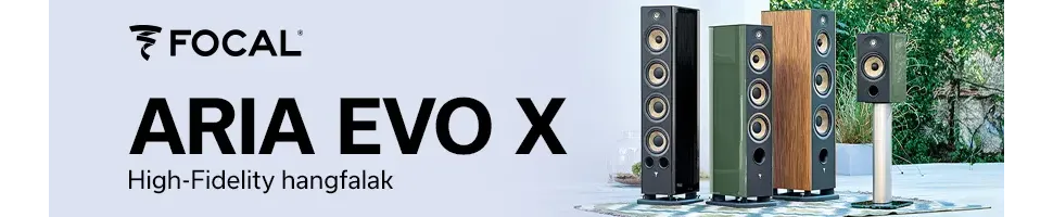 ARIA EVO X